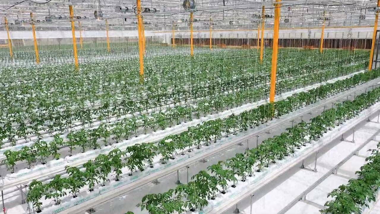 新2平台_临潼区新添2家秦创原“三器”示范平台