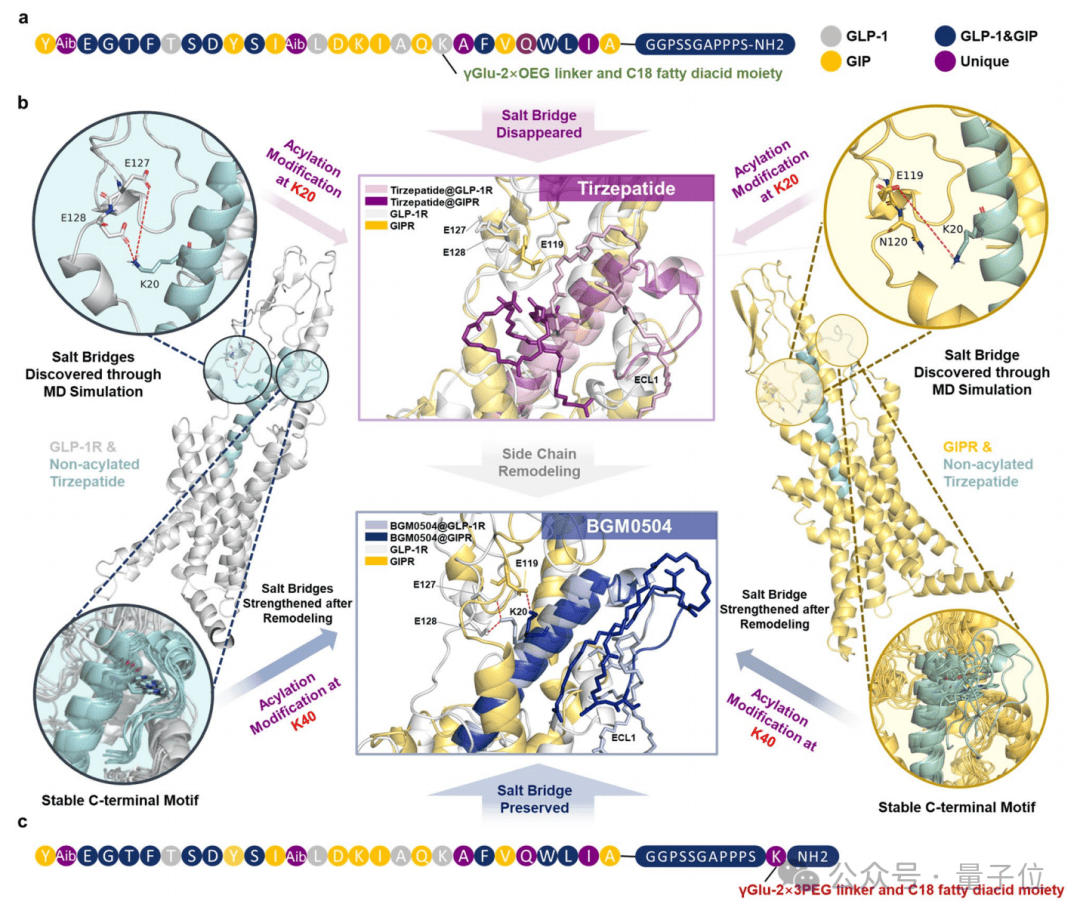 皇冠登3_中国AI制药成果登Nature子刊：分子模拟设计糖尿病药物皇冠登3，效果优化2-3倍