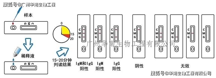 皇冠登1登2登3申请_登革病毒抗原NS1、登革IgG/IgM抗体检测试剂盒（胶体金法）