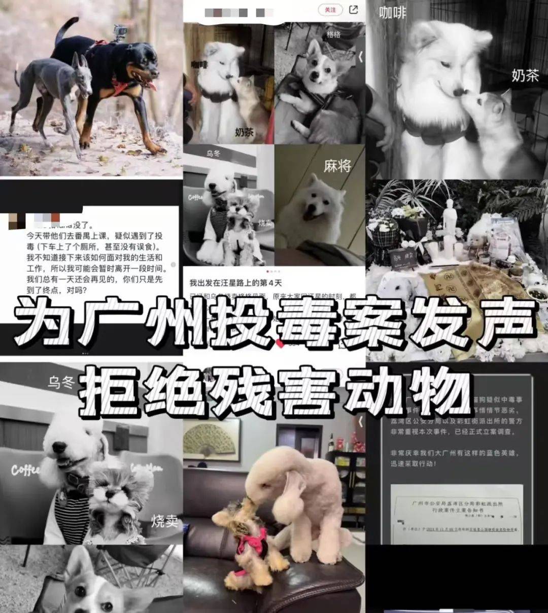 皇冠足球管理平台出租_“死亡数据仍在上升”皇冠足球管理平台出租！广州警方介入