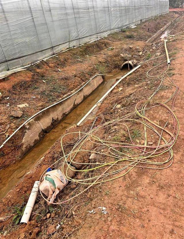 皇冠信用网会员申请_长沙一男子在辣椒基地遭电击身亡皇冠信用网会员申请，官方：属意外，正协调善后