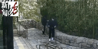 皇冠信用网账号_太猖狂！事发上海迪士尼皇冠信用网账号，7人被刑拘