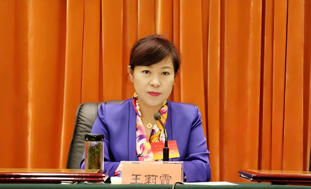 AC米兰vs克雷莫内塞
_“换装主席”王莉霞的堕落：从光鲜人设到腐败深渊