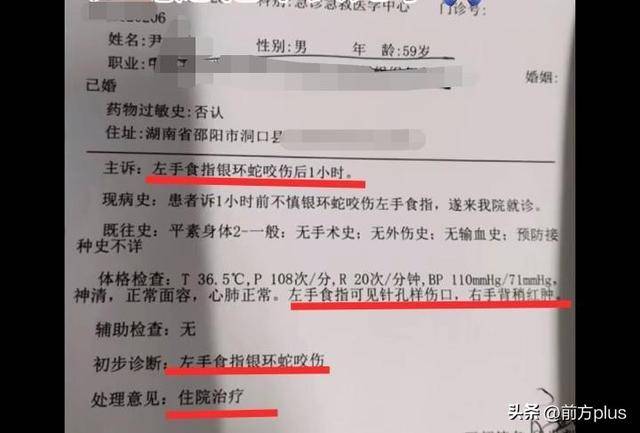 皇冠信用網会员注册网址
_湖南邵阳一男子直播挖蛇被咬皇冠信用網会员注册网址
，去医院后却自行离开至今下落不明