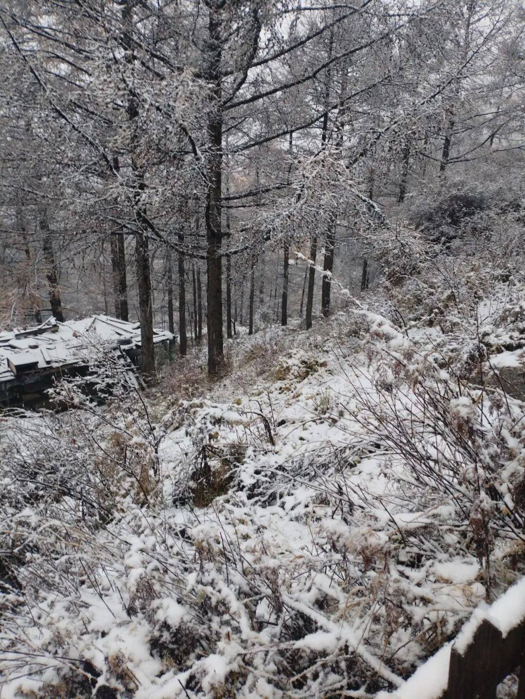 皇冠体育App下载
_石家庄下雪了！河北将迎中到大雪皇冠体育App下载
，未来三天……
