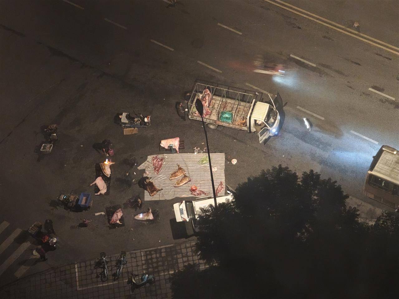 皇冠信用網在线申请
_成都街头凌晨惊现“流动猪肉摊”皇冠信用網在线申请
，一群人在路边地上剁猪肉为摊贩供货，当地回应