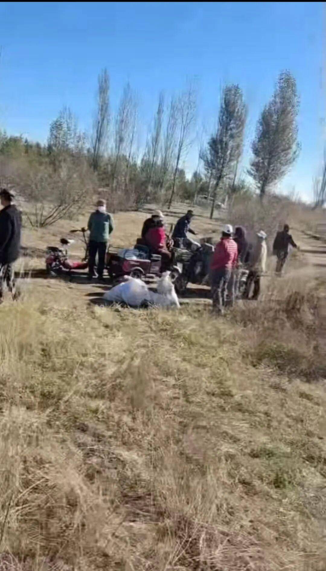 皇冠信用网
_百亩向日葵遭村民哄抢皇冠信用网
，损失50万元！警方已行拘4人