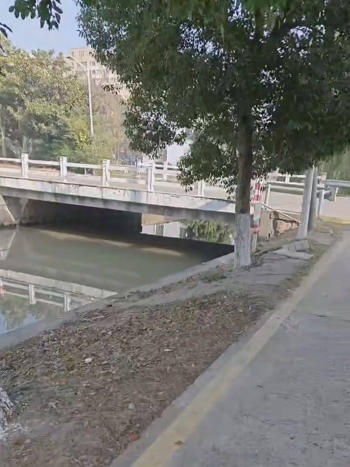 皇冠信用网如何注册
_江苏一对姐妹驾三轮车不慎坠河皇冠信用网如何注册
，三名老人合力施救：别人有危险帮忙是本能