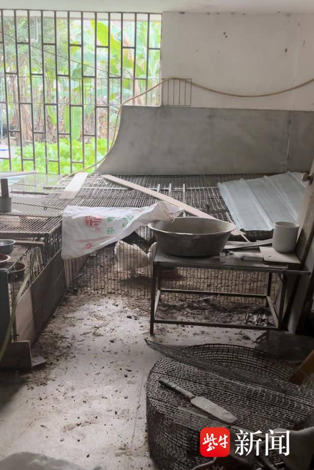 如何代理皇冠信用网_离谱!男子耗资500多万元建造的别墅被邻居强占如何代理皇冠信用网,地下室养了几十只鸡鸭,警方介入后仍三番五次偷搬东西