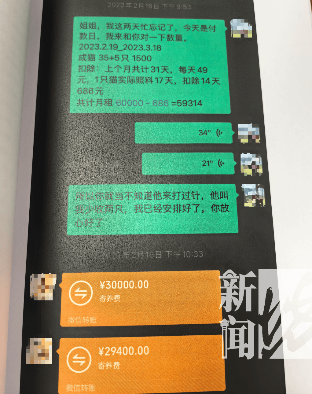 皇冠2登录welcome_上海一女子掏空公司3500万!养了上百只猫皇冠2登录welcome,还痴迷于“云祭祀”……