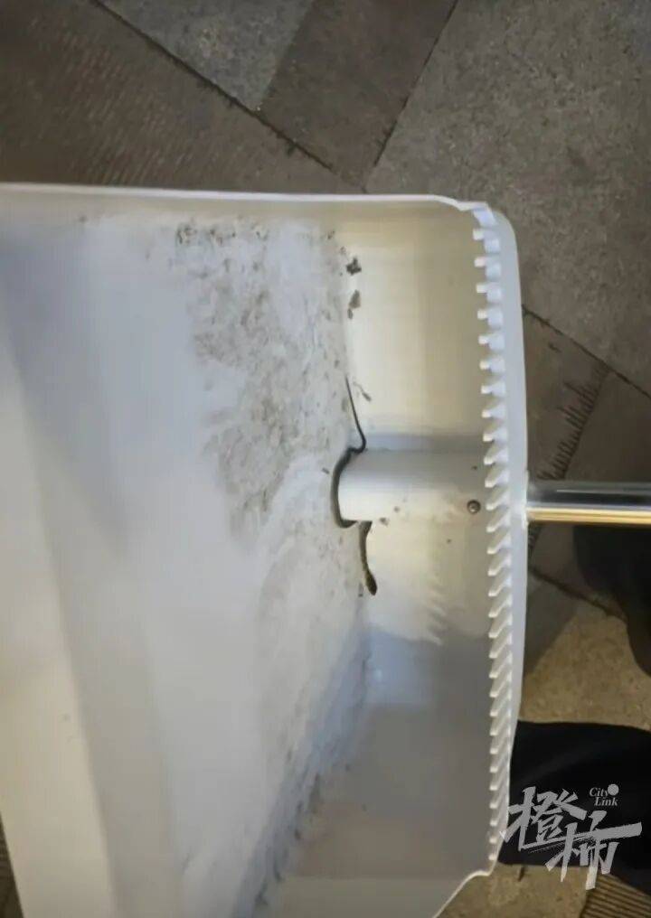 亚洲杯足球比分_女子59.8元买的盆栽18天爬出4条蛇亚洲杯足球比分，扒开泥土还有蛇蛋
