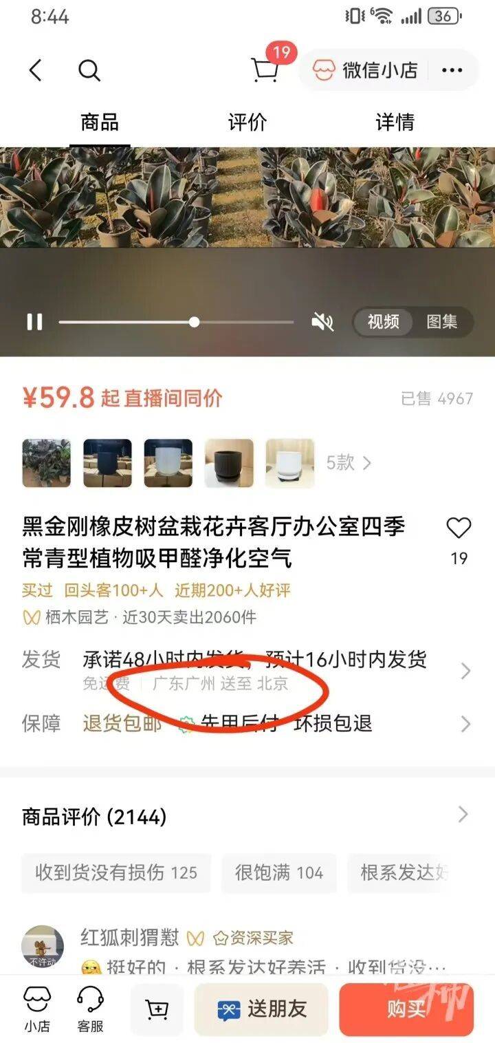 亚洲杯足球比分_女子59.8元买的盆栽18天爬出4条蛇亚洲杯足球比分，扒开泥土还有蛇蛋