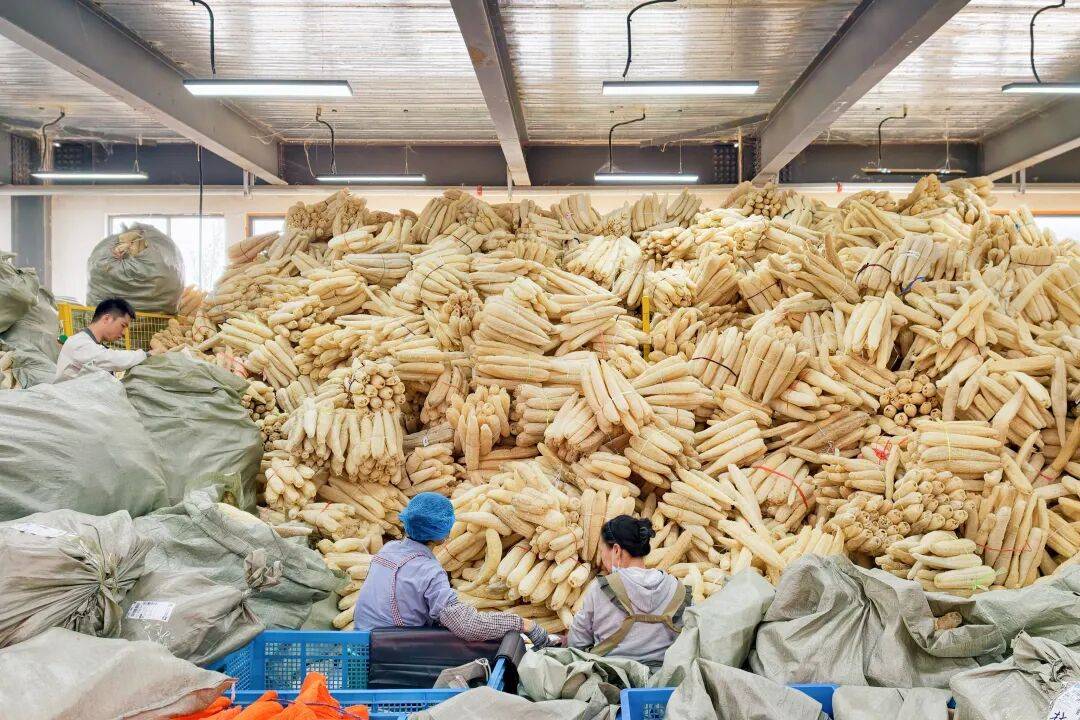 世界杯官网入口 _客户一次要60万根世界杯官网入口 ，她以为听错了……河南姑娘把“刷锅神器”做成行业“头部”，100多款产品卖进50多个国家